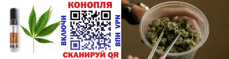 кракен зеркало  Ртищево  Cannafood марихуана  сколько стоит 