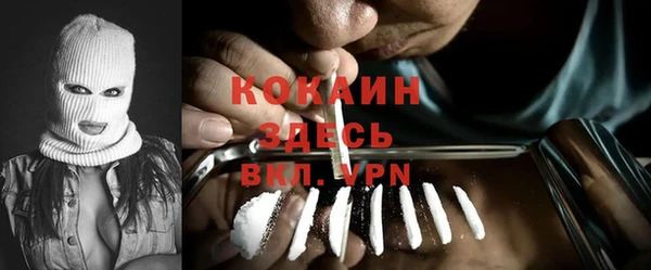 крисы Абаза