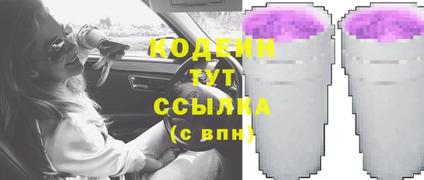 крисы Абаза