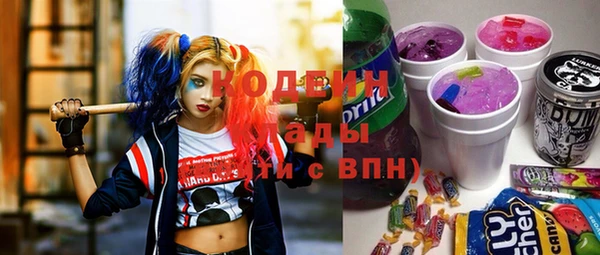 крисы Абаза